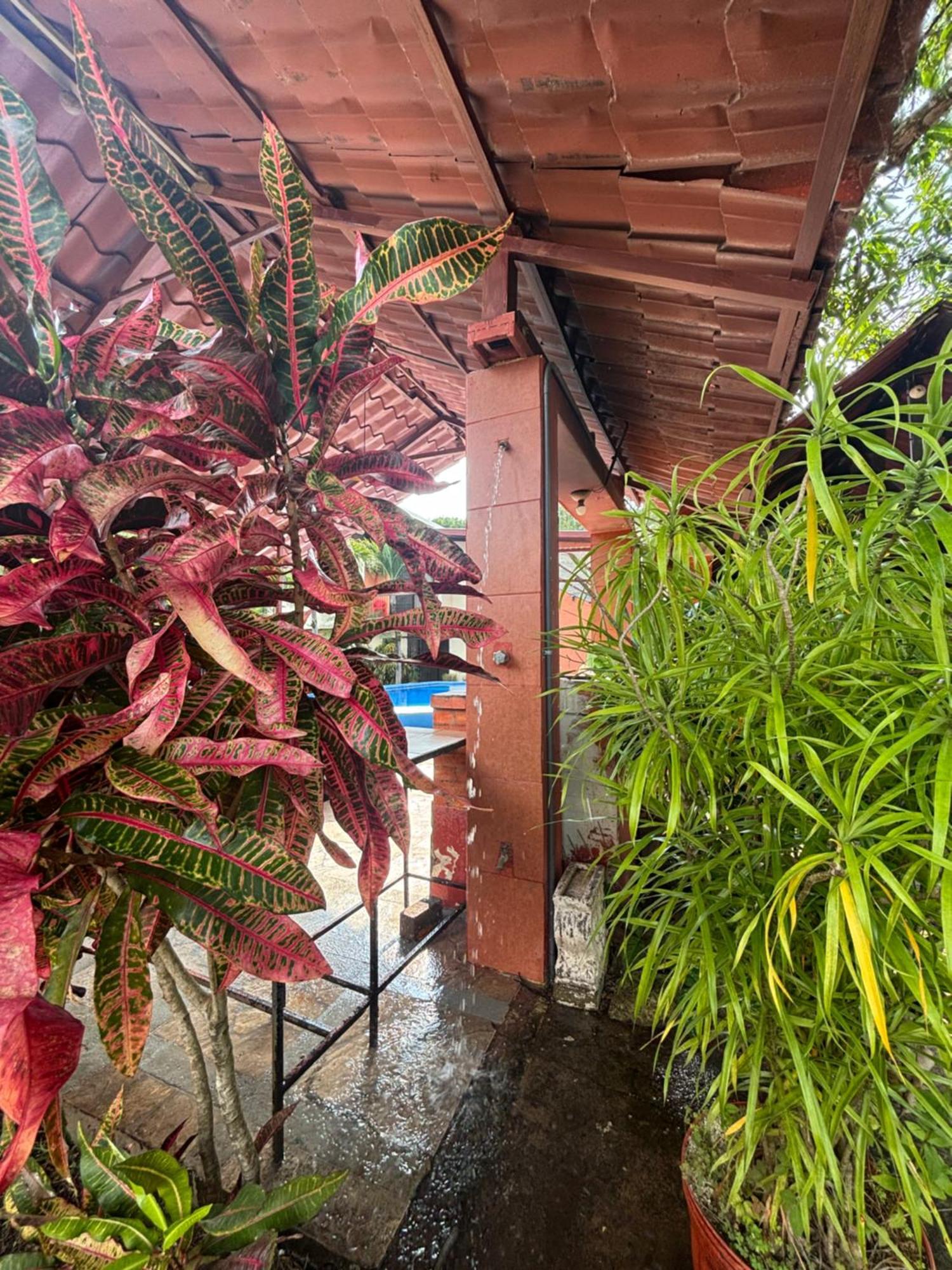 شقة Casa Jana El Roble المظهر الخارجي الصورة
